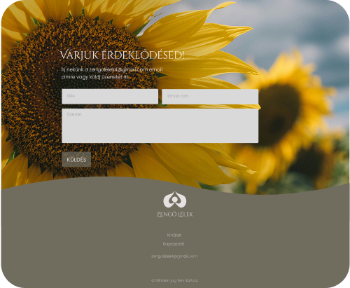 Mockup a weboldal laptop verziójáról